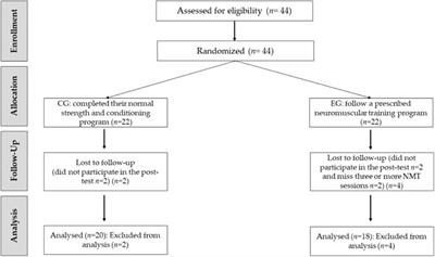 Effects of a neuromuscular training program on physical performance and asymmetries in female soccer